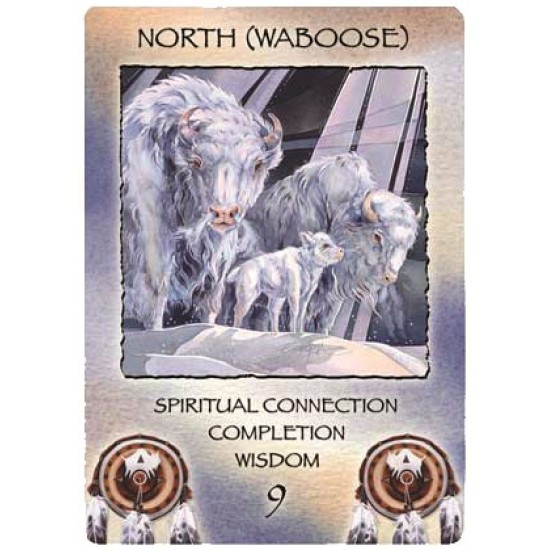 Карти Оракул Spirit of the Wheel mediation deck