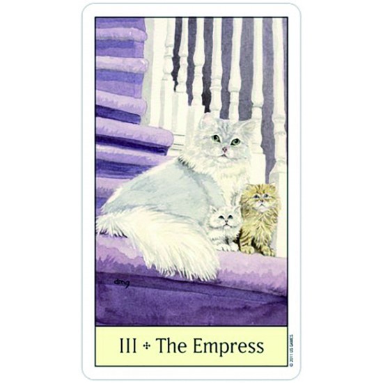 Карти Таро USG Cat's Eye Tarot