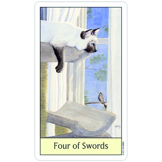 Карти Таро USG Cat's Eye Tarot