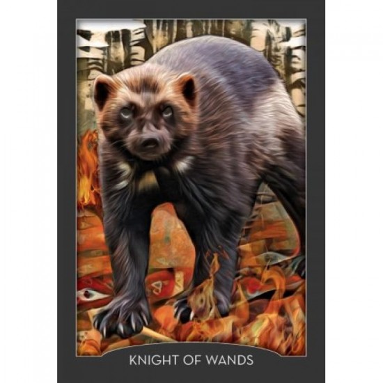 Карти Таро Hay House Guardian of the Night